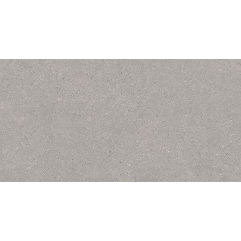 Mexen Monaco Grauer glasierter rektifizierter Gres G1, Boden- und Wandfliese 120 x 60 cm, matt - TL313-120-060-02
