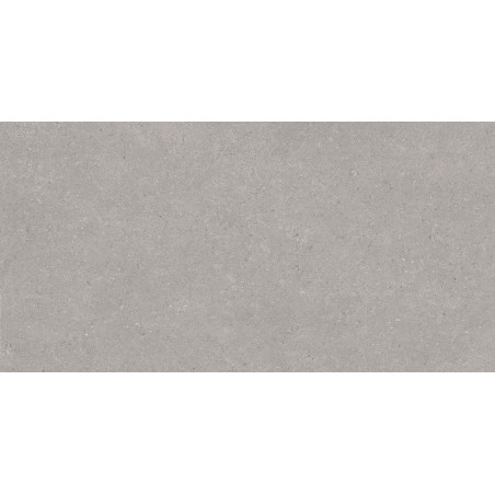 Mexen Monaco Grauer glasierter rektifizierter Gres G1, Boden- und Wandfliese 120 x 60 cm, matt - TL313-120-060-02