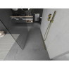 Mexen Kioto freistehende Duschwand 100 x 200 cm, transparent 8 mm, gold - 800-100-002-50-00