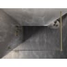 Mexen Lunar Duschwand Walk-in links 110 x 200 cm, transparent 8 mm, gebürstetes Gold - 830-110-000-55-00-L