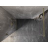 Mexen Lunar Duschwand Walk-in links 120 x 200 cm, transparent 8 mm, gold gebürstet - 830-120-000-55-00-L