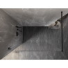 Mexen Lunar Duschwand Walk-in links 50 x 200 cm, transparent 8 mm, schwarz - 830-050-000-70-00-L