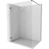 Mexen Lunar Duschwand Walk-in links 100 x 200 cm, transparent 8 mm, schwarz - 830-100-000-70-00-L