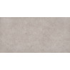 Mexen Town Silver glasiertes Feinsteinzeug rekt. G1, Boden- und Wandfliese 120 x 60 cm, matt - TL325-120-060-04