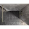 Mexen Lunar Duschwand Walk-in rechts 100 x 200 cm, transparent 8 mm, gebürstetes Gold - 830-100-000-55-00-P