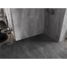 Mexen Lunar Duschwand Walk-in rechts 50 x 200 cm, transparent 8 mm, gebürstet gun gray - 830-050-000-66-00-P