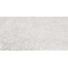 Mexen Alice Silber glasiertes Feinsteinzeug rek. G1, Boden- und Wandfliese 120 x 60 cm, Gravur - TL339-120-060-01