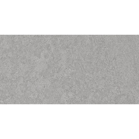 Mexen Megnum Glasierte Silbergresfliese rekt. G1, Boden- und Wandfliese 120 x 60 cm, carving - TL342-120-060-03