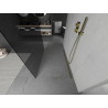 Mexen Kioto freistehende Duschwand 100 x 200 cm, Graphit 8 mm, Gold - 800-100-002-50-40