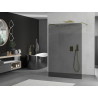 Mexen Kioto freistehende Duschwand 120 x 200 cm, Graphit 8 mm, Gold - 800-120-002-50-40