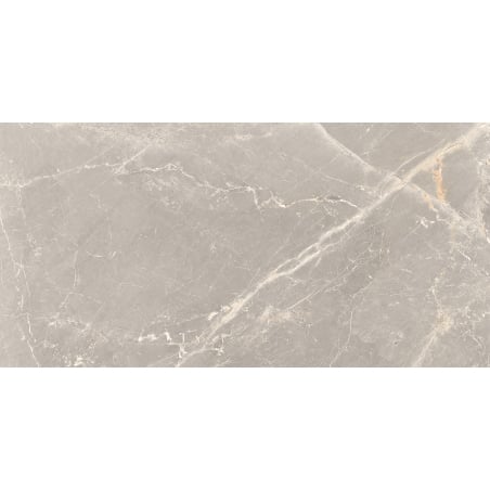 Mexen Dorado Grau glasiertes rek. Feinsteinzeug, Boden- und Wandfliese 120 x 60 cm, Carving - TL431-120-060-01