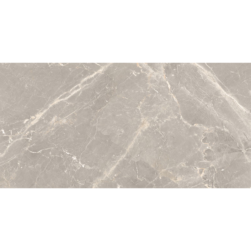 Mexen Dorado Grau glasiertes rek. Feinsteinzeug, Boden- und Wandfliese 120 x 60 cm, Carving - TL431-120-060-01