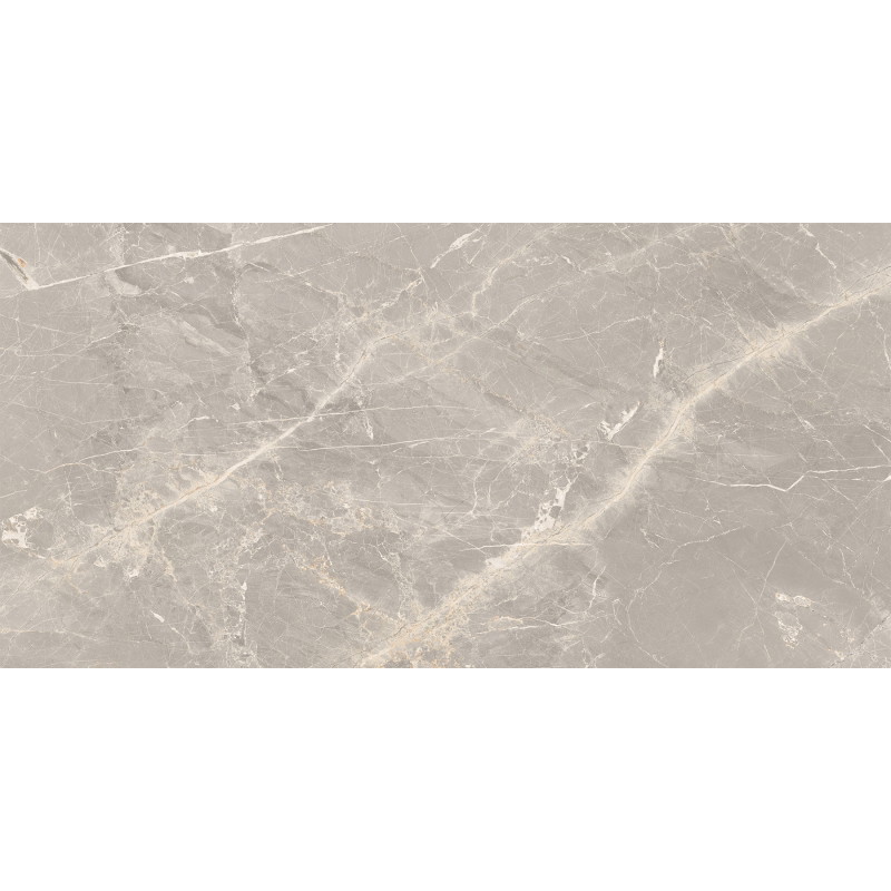 Mexen Dorado Grau glasiertes rek. Feinsteinzeug, Boden- und Wandfliese 120 x 60 cm, Carving - TL431-120-060-01