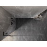 Mexen Lunar L Duschwand Walk-in links 60 x 200 cm, transparent 8 mm, schwarz - 830L-060-000-70-00-L