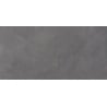 Mexen Evolution Grauer glasiert rektifiziert. G1, Boden- und Wandfliese 120 x 60 cm, Gravur - TL437-120-060-02