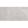 Mexen Evolution Hellgrau glasiertes Feinsteinzeug rek. G1, Boden- und Wandfliese 120 x 60 cm, Carving - TL437-120-060-03