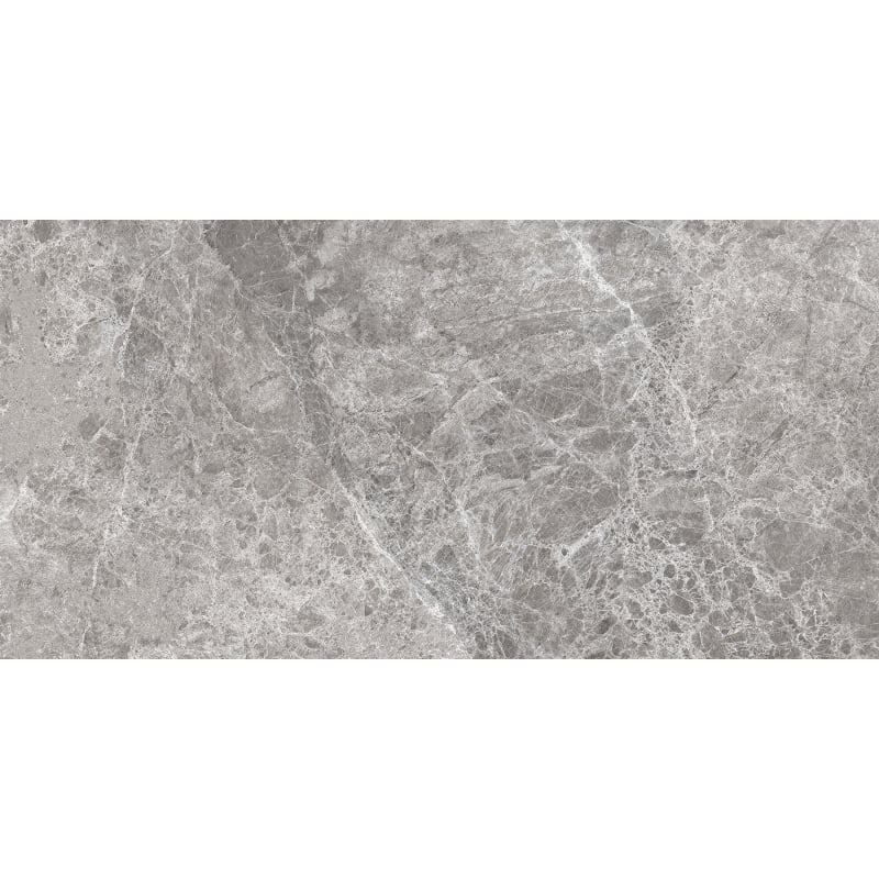 Mexen Lizard Grau glasiertes Feinsteinzeug rechteckig G1, Boden- und Wandfliese 120 x 60 cm, glänzend - TL109-120-060-02