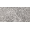 Mexen Lizard Grau glasiertes Feinsteinzeug rechteckig G1, Boden- und Wandfliese 120 x 60 cm, glänzend - TL109-120-060-02