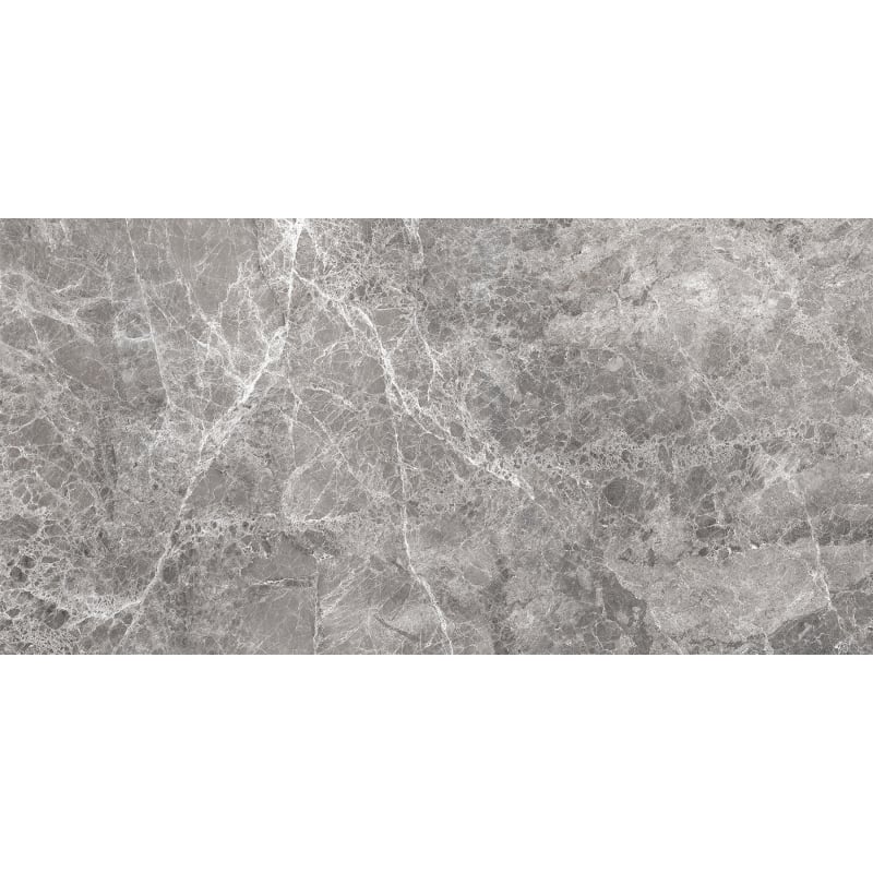 Mexen Lizard Grau glasiertes Feinsteinzeug rechteckig G1, Boden- und Wandfliese 120 x 60 cm, glänzend - TL109-120-060-02