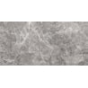 Mexen Lizard Grau glasiertes Feinsteinzeug rechteckig G1, Boden- und Wandfliese 120 x 60 cm, glänzend - TL109-120-060-02