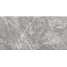 Mexen Lizard Grau glasiertes Feinsteinzeug rechteckig G1, Boden- und Wandfliese 120 x 60 cm, glänzend - TL109-120-060-02