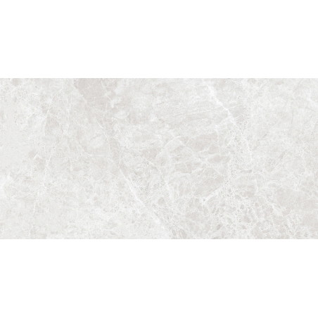 Mexen Lizard Silber glasiertes Feinsteinzeug rekt. G1, Boden- und Wandfliese 120 x 60 cm, glänzend - TL109-120-060-03