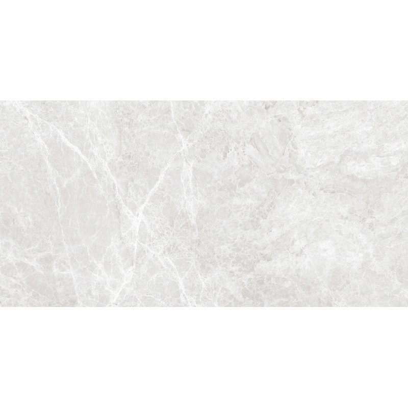 Mexen Lizard Silber glasiertes Feinsteinzeug rekt. G1, Boden- und Wandfliese 120 x 60 cm, glänzend - TL109-120-060-03