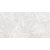 Mexen Lizard Silber glasiertes Feinsteinzeug rekt. G1, Boden- und Wandfliese 120 x 60 cm, glänzend - TL109-120-060-03