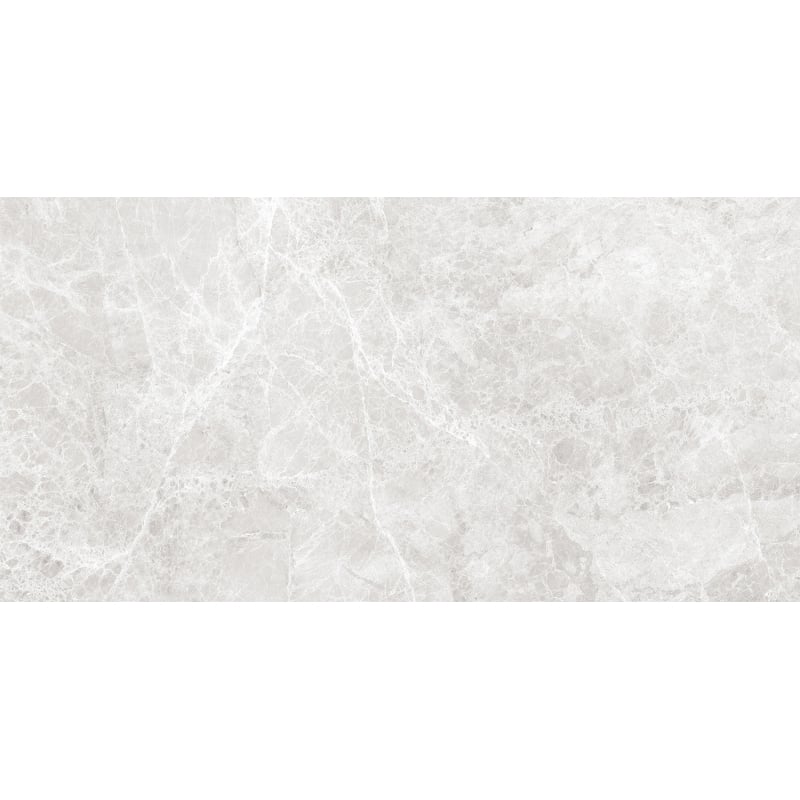 Mexen Lizard Silber glasiertes Feinsteinzeug rekt. G1, Boden- und Wandfliese 120 x 60 cm, glänzend - TL109-120-060-03