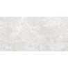 Mexen Lizard Silber glasiertes Feinsteinzeug rekt. G1, Boden- und Wandfliese 120 x 60 cm, glänzend - TL109-120-060-03