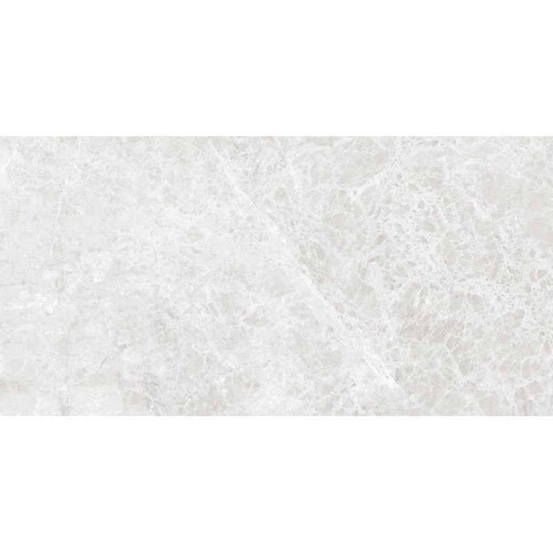 Mexen Lizard Silber glasiertes Feinsteinzeug rekt. G1, Boden- und Wandfliese 120 x 60 cm, glänzend - TL109-120-060-03