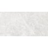 Mexen Lizard Silber glasiertes Feinsteinzeug rekt. G1, Boden- und Wandfliese 120 x 60 cm, glänzend - TL109-120-060-03