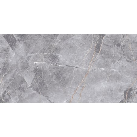 Mexen Eternity Grauer glasierter Feinsteinzeug rekt. G1, Boden-Wandfliese 120 x 60 cm, Glanz - TL112-120-060-01