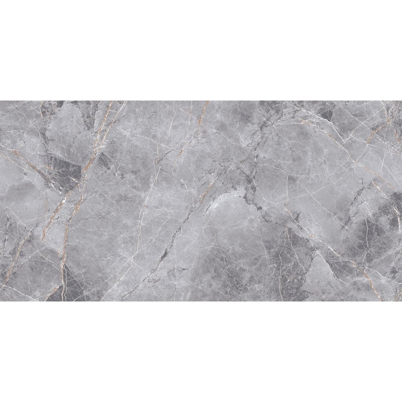 Mexen Eternity Grauer glasierter Feinsteinzeug rekt. G1, Boden-Wandfliese 120 x 60 cm, Glanz - TL112-120-060-01
