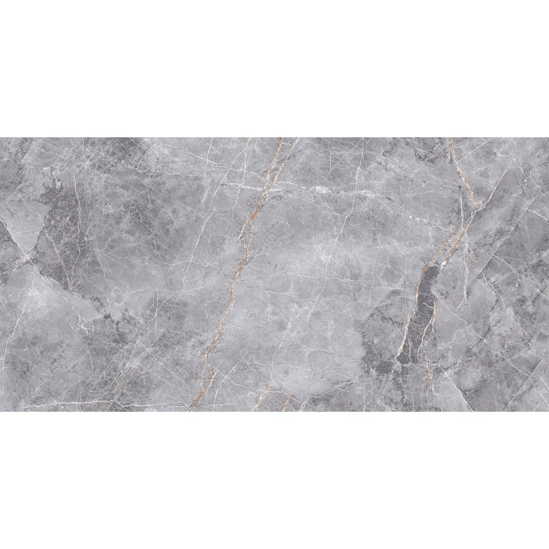 Mexen Eternity Grauer glasierter Feinsteinzeug rekt. G1, Boden-Wandfliese 120 x 60 cm, Glanz - TL112-120-060-01