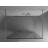 Mexen Kioto Freistehende Duschwand 100 x 200 cm, weiße Welle 8 mm, Chrom - 800-100-002-01-97