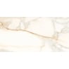 Mexen Viola Gold glasiertes, rektifiziertes Feinsteinzeug G1, Boden- und Wandfliese 120 x 60 cm, glänzend - TL130-120-060-01