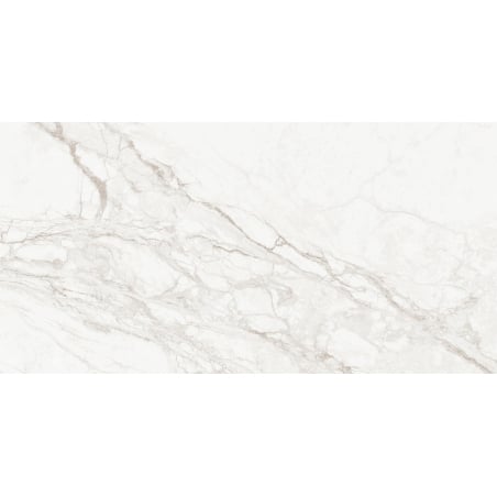 Mexen Rayas Silber glasierte Rektifikat G1, Boden- und Wandfliese 120 x 60 cm, glänzend - TL147-120-060-01