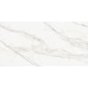 Mexen Rayas Silber glasierte Rektifikat G1, Boden- und Wandfliese 120 x 60 cm, glänzend - TL147-120-060-01