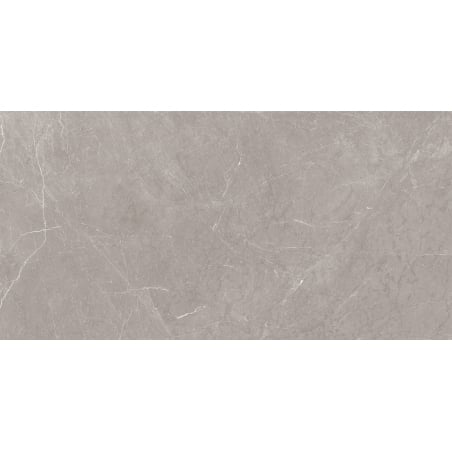 Mexen Gloster Hellgrau glasierte rekt. G1, Boden- und Wandfliese 120 x 60 cm, glänzend - TL172-120-060-04
