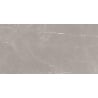 Mexen Gloster Hellgrau glasierte rekt. G1, Boden- und Wandfliese 120 x 60 cm, glänzend - TL172-120-060-04
