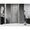 Mexen Lunar-F Dusche Klapptür links 60 cm, transparent, gold - 836-060-000-50-00-L