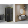 Mexen Rio Duschkabine quadratisch 70 x 70 cm, Graphit, Gold - 860-070-070-50-40