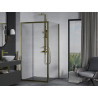 Mexen Apia Duschkabine Schiebetür 100 x 100 cm, transparent, gold - 840-100-100-50-00