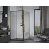 Mexen Apia Schiebeduschkabine 100 x 100 cm, transparent, gold - 840-100-100-50-00