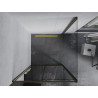 Mexen Apia Schiebedusche 100 x 100 cm, transparent, gold - 840-100-100-50-00