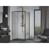 Mexen Apia Duschkabine Schiebetür 125 x 80 cm, transparent, gold - 840-125-080-50-00