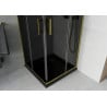 Mexen Rio quadratische Duschkabine 70 x 70 cm, Graphit, Gold + Flat Duschwanne, Schwarz - 860-070-070-50-40-4070G