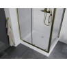 Mexen Apia verschiebbare Duschkabine 100 x 80 cm, transparent, gold + Rio-Duschwanne - 840-100-080-50-00-4510