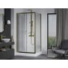 Mexen Apia Duschkabine Schiebetür 120 x 80 cm, transparent, gold + Rio Duschwanne - 840-120-080-50-00-4510